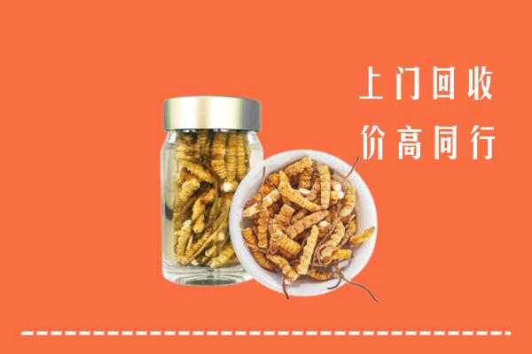 梅州丰顺县回收冬虫夏草