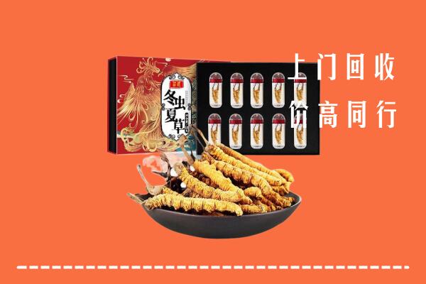 收购行情：梅州丰顺县回收虫草